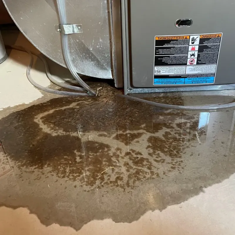 Pipe Burst and Leak Restoration in Rowan County, KY